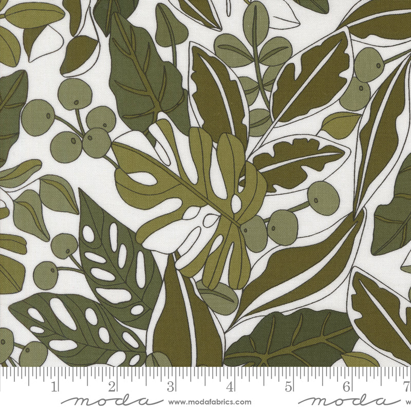 Cotton quilting fabric pattern called 'Greenery in Paper'. Part of the 'Botany' fabric collection. Designed by Alli K Design for fabric company MODA. SKU: 11551 11. 44-45 inch width.