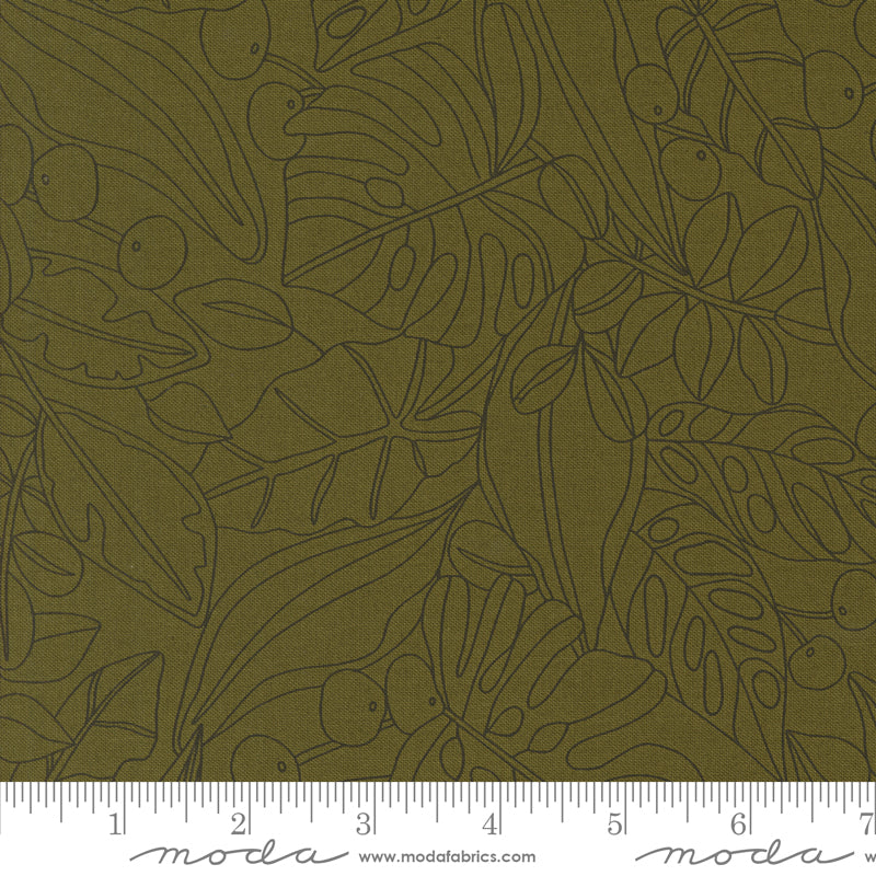 Cotton quilting fabric pattern called 'Greenery in Monstera'. Part of the 'Botany' fabric collection. Designed by Alli K Design for fabric company MODA. SKU: 11551 29. 44-45 inch width.