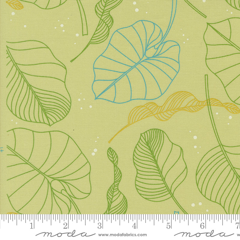 Cotton quilting fabric pattern called 'Leaves in Light Lime'. Part of the 'Olive You' fabric collection. Designed by Zen Chic for fabric company MODA. SKU: 1880 17. 44-45 inch width.