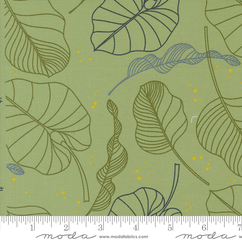 Cotton quilting fabric pattern called 'Leaves in Sage'. Part of the 'Olive You' fabric collection. Designed by Zen Chic for fabric company MODA. SKU: 1880 18. 44-45 inch width.