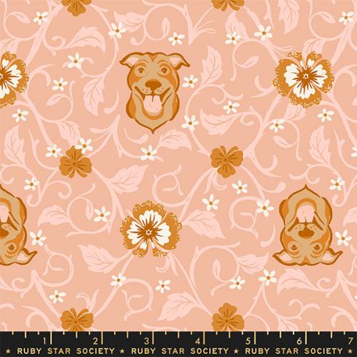 Cotton quilting fabric pattern called 'Pitbull in Dahlia'. Part of the 'Dog Park' fabric collection. Designed by Sarah Watts for fabric company Ruby Star Society. SKU: RS2095 13. 44-45 inch width.