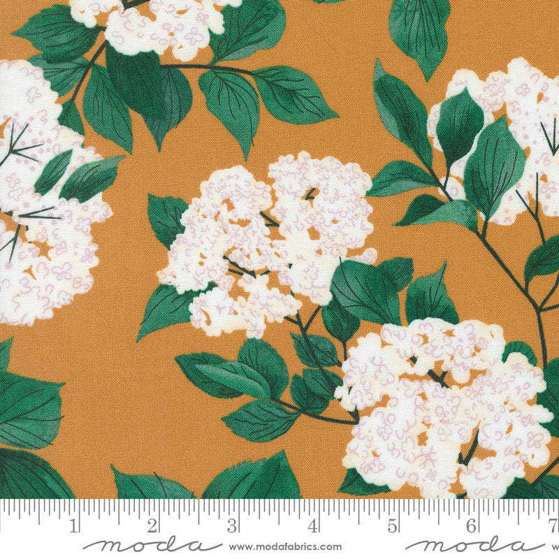 Cotton quilting fabric pattern called 'Elderberry Blossoms in Amber'. Part of the 'Love Letter' fabric collection. Designed by Lizzy House for fabric company MODA. SKU: 37123 15. 44-45 inch width.