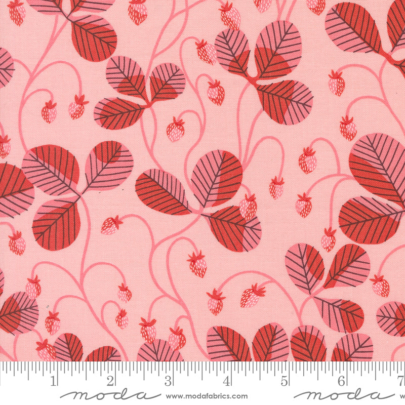 Cotton quilting fabric pattern called 'Virginia in Light Pink'. Part of the 'Love Letter' fabric collection. Designed by Lizzy House for fabric company MODA. SKU: 37124 20. 44-45 inch width.