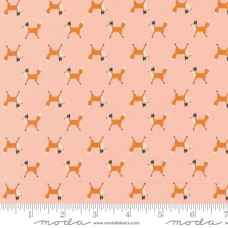 Cotton quilting fabric pattern called 'Fox Trot in Blush'. Part of the 'Woodland Wonder' fabric collection. Designed by Gingiber for fabric company MODA. SKU: 48394 18. 44-45 inch width.