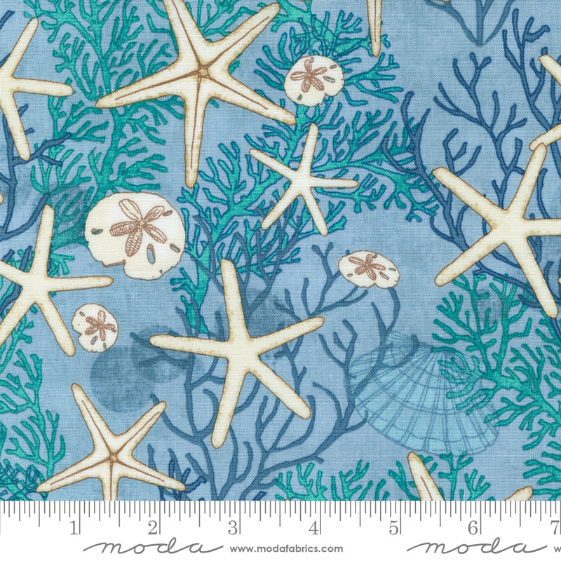 Cotton quilting fabric pattern called 'Beachcomber in Breeze'. Part of the 'Serena Shores' fabric collection. Designed by Robin Pickens for fabric company Moda. SKU: 48771 16. 44-45 inch width.