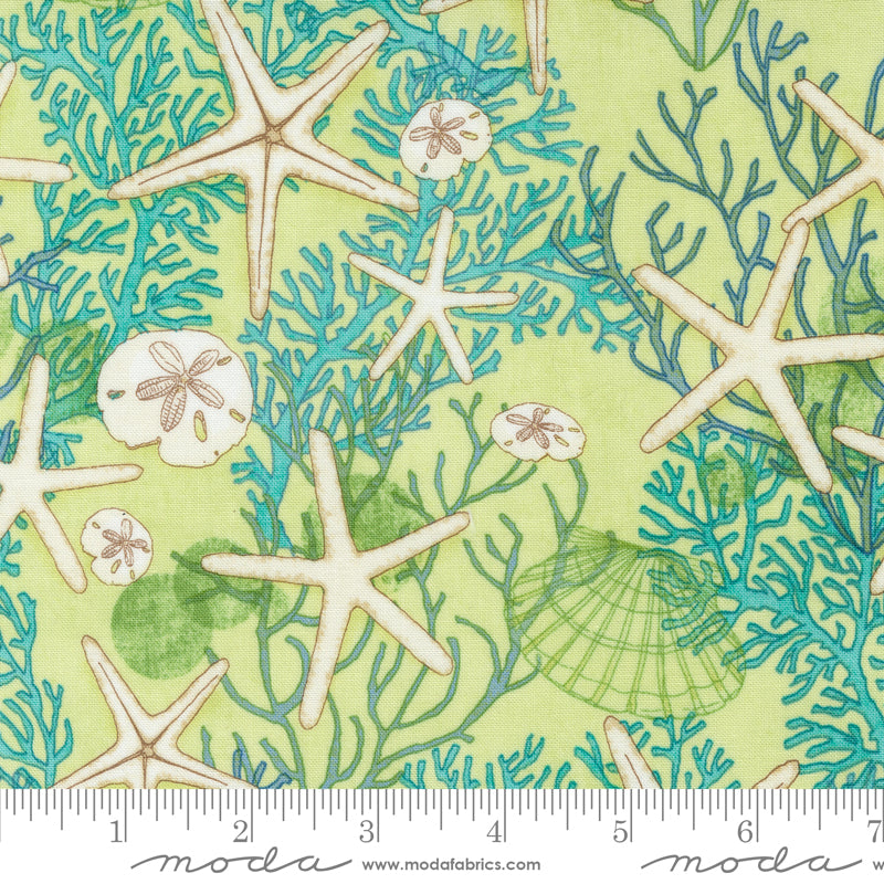 Cotton quilting fabric pattern called 'Beachcomber in Kelp'. Part of the 'Serena Shores' fabric collection. Designed by Robin Pickens for fabric company Moda. SKU: 48771 25. 44-45 inch width.