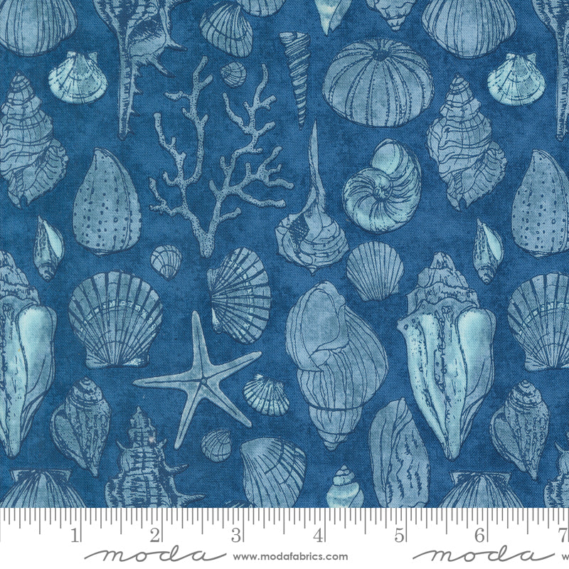 Cotton quilting fabric pattern called 'Sketchy Shells in Coastal'. Part of the 'Serena Shores' fabric collection. Designed by Robin Pickens for fabric company Moda. SKU: 48774 14. 44-45 inch width.