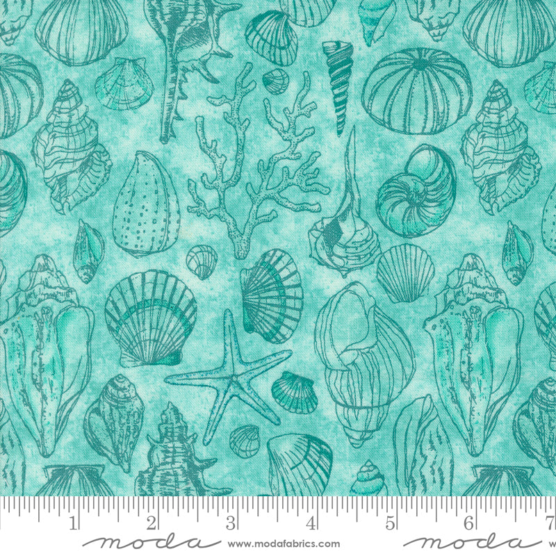 Cotton quilting fabric pattern called 'Sketchy Shells in Aqua'. Part of the 'Serena Shores' fabric collection. Designed by Robin Pickens for fabric company Moda. SKU: 48774 21. 44-45 inch width.