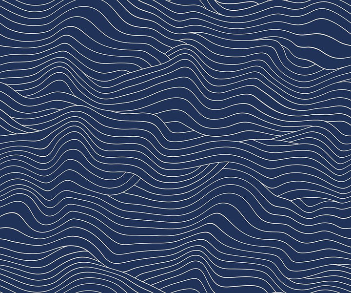 Water Wavelength in Navy - RS5129 17 - Half Yard