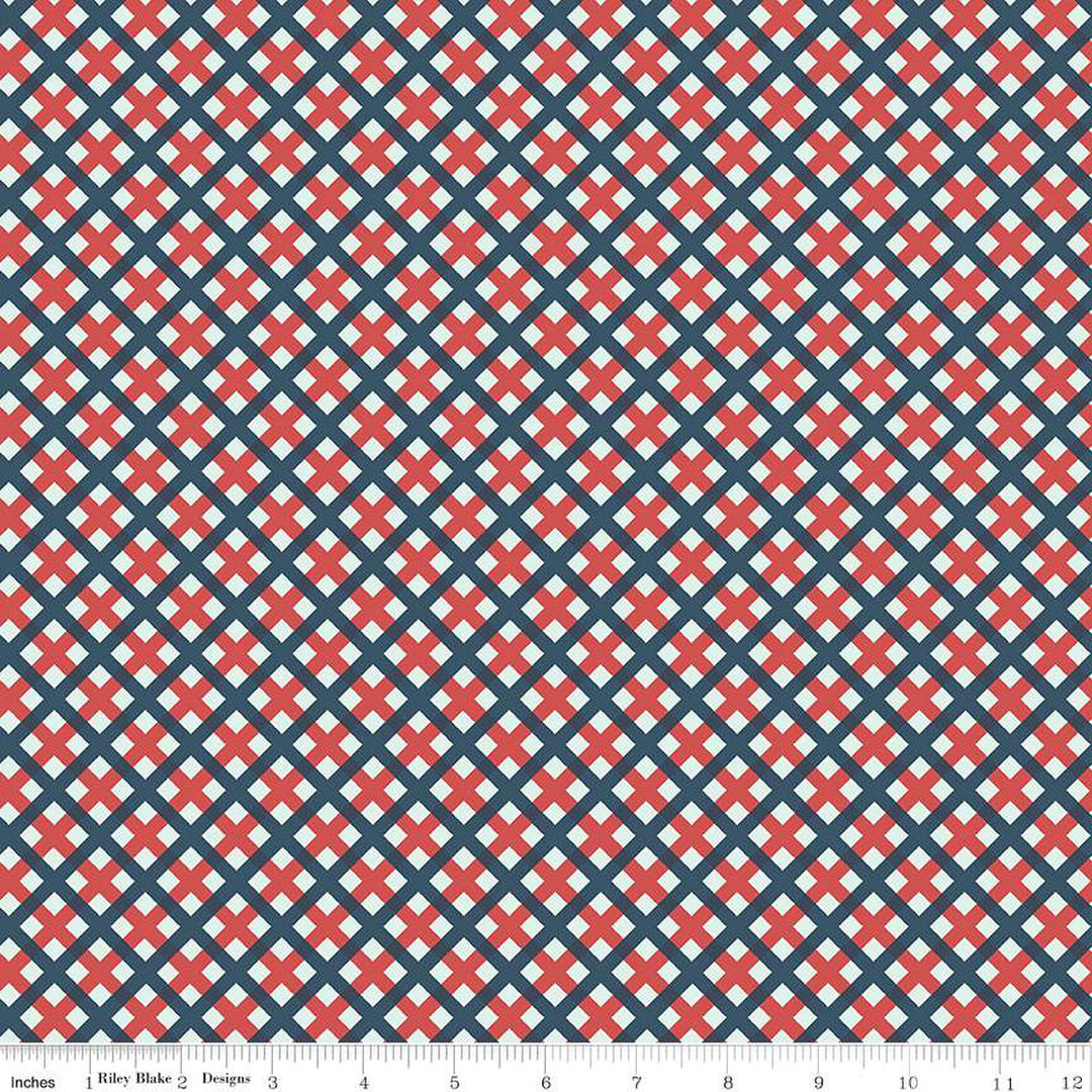 Cotton quilting fabric pattern called 'Gingham Picnic Multi'. Part of the 'Sweet Freedom' fabric collection. Designed by Beverly McCullough for fabric company Riley Blake Designs. SKU: C14417R-MULTI. 44-45 inch width.