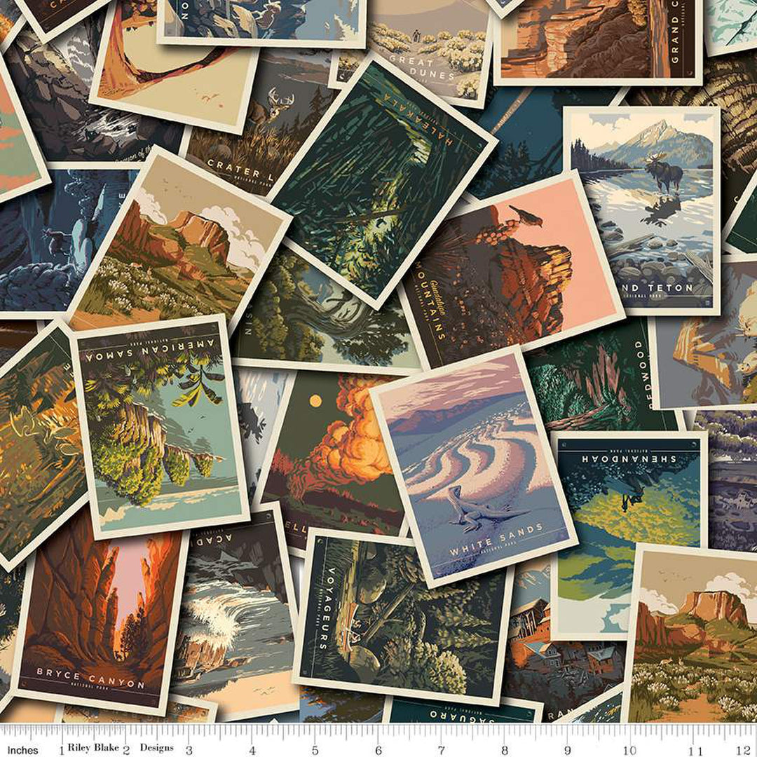 Cotton quilting fabric pattern called 'Postcard Toss in Multi'. Part of the 'National Parks' fabric collection. Designed by Anderson Design Group for fabric company Riley Blake. SKU: CD13290-MULTI . 44-45 inch width.