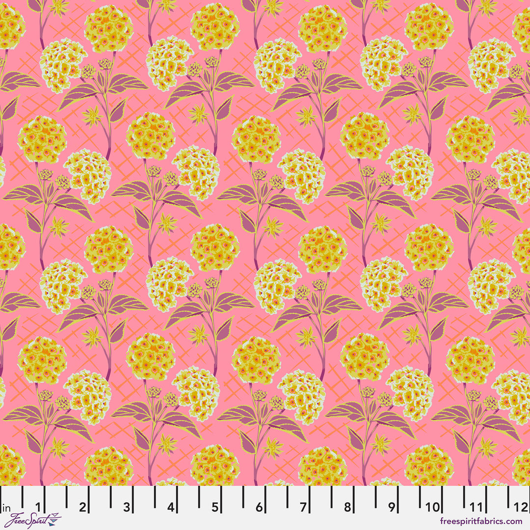 Our Fair Home - Trellis in Peach - PWAH213.PEACH - Half Yard