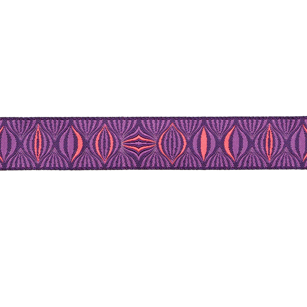 PREORDER - Light the Way in Nova - 7/8" width - Tula Pink Untamed - One Yard