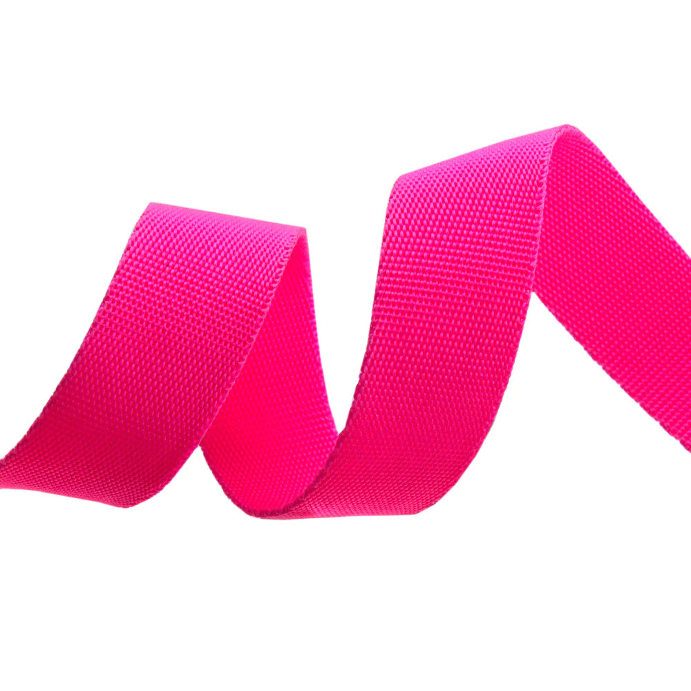 Renaissance Ribbons - 1" Neon Webbing in Cosmic - One Yard