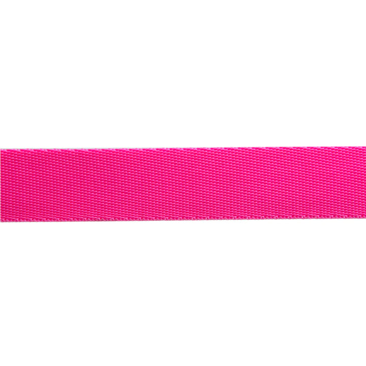 Renaissance Ribbons - 1" Neon Webbing in Cosmic - One Yard